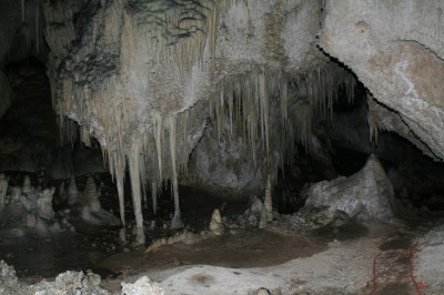 typical of lower cave