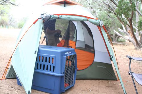 Our tent. Red's crate in the vestibule.
