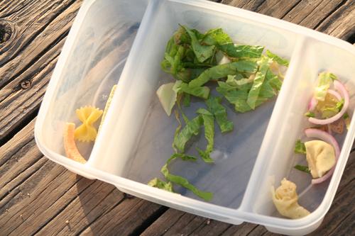 Our bait: Dry pasta, veggie straws, lettuce, cheese ravaoli & onion.